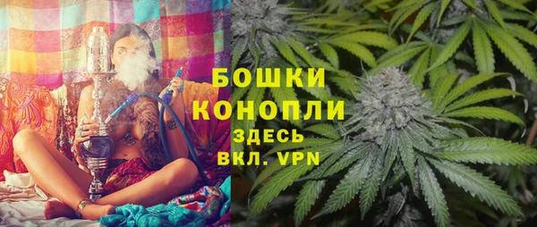 каннабис Белокуриха