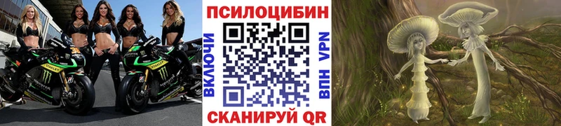 Галлюциногенные грибы Psilocybine cubensis  Шагонар 