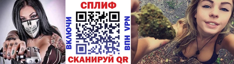 Шишки марихуана семена  ссылка на мегу ссылки  Шагонар 